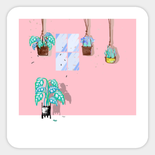 House Plants